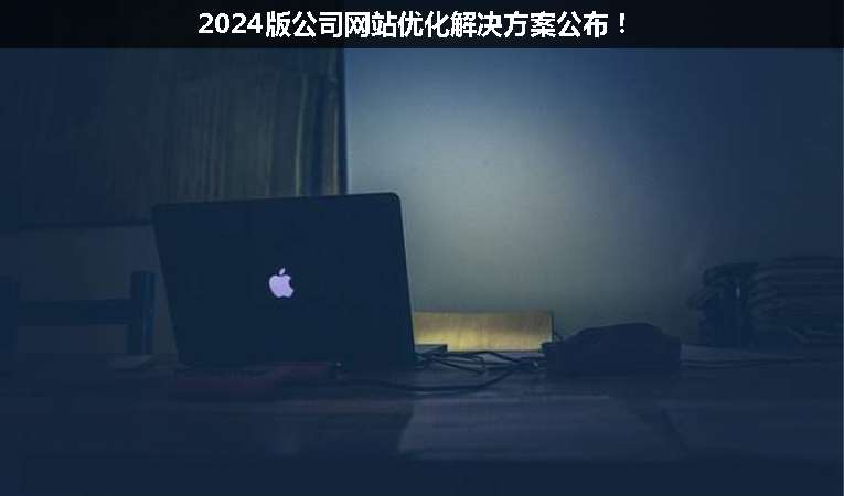 2024版公司網站優化解決方案公布！